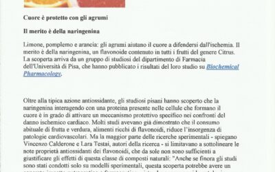 Cuore protetto con gli agrumi