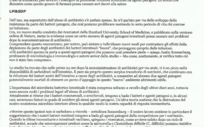 Antibiotici favoriscono infezioni intestinali