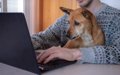 Smartworking e Salute Fisica